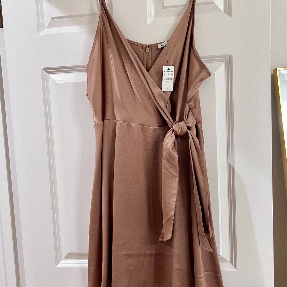 Express Carmel Dress